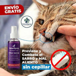 La solución clínica para limpiar los dientes de tu mascota desde casa