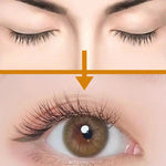MagneticLash Pro™ - Luce Pestañas Magnéticas en Segundos 😱50% DE DESCUENTO😱