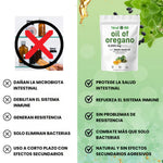 Aceite de Oregano | Elimina Hongos, Virus e Infecciones