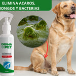 🐶🐱DermaPet™ Adiós Alergias+ Envio Gratis 🎁