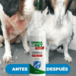 🐶🐱DermaPet™ Adiós Alergias+ Envio Gratis 🎁
